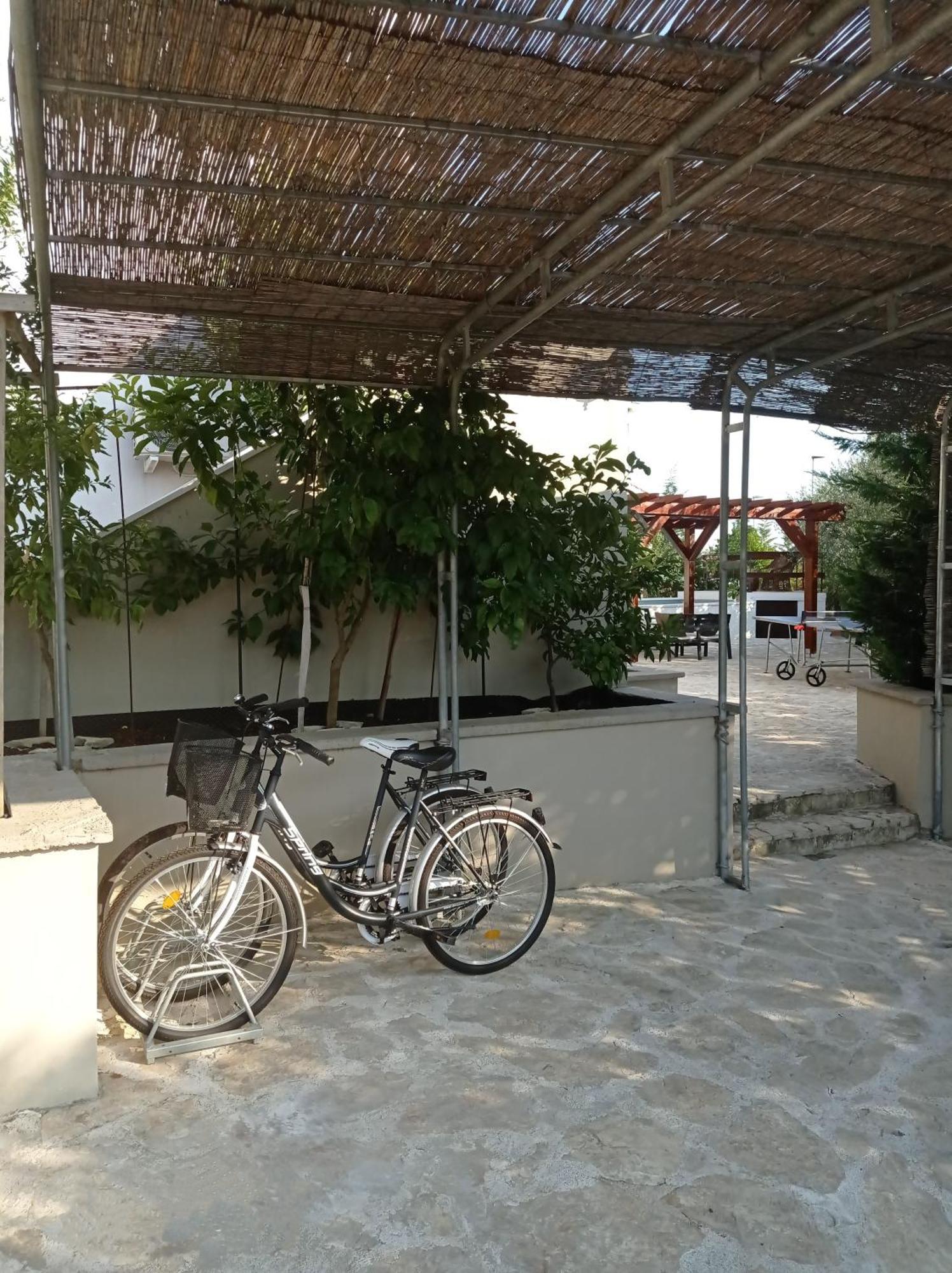 Villa Niko With Private Swimming Pool Задар Екстериор снимка